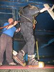 IMG_5551 IMG_5551