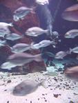 IMG_5554 IMG_5554