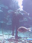 IMG_5573 IMG_5573