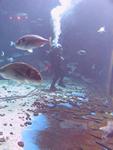 IMG_5574 IMG_5574