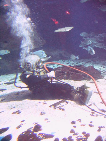 IMG_5582