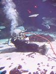 IMG_5582 IMG_5582