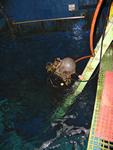 IMG_5583 IMG_5583