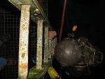IMG_5718 IMG_5718