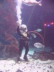 IMG_5719 IMG_5719