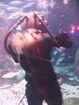 IMG_5726 IMG_5726