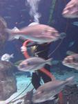IMG_5728 IMG_5728
