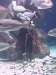 IMG_5731 IMG_5731