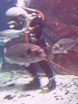 IMG_5732 IMG_5732