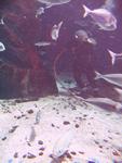 IMG_5739 IMG_5739