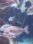 IMG_5801 IMG_5801