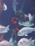 IMG_5802 IMG_5802