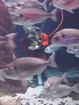 IMG_5803 IMG_5803