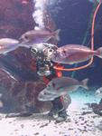 IMG_5806 IMG_5806