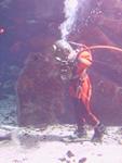 IMG_5807 IMG_5807