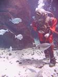IMG_5812 IMG_5812