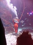 IMG_5814 IMG_5814