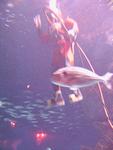 IMG_5859 IMG_5859