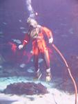 IMG_5863 IMG_5863