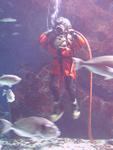 IMG_5881 IMG_5881
