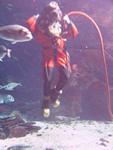 IMG_5887 IMG_5887