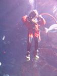 IMG_5888 IMG_5888