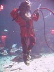IMG_5891 IMG_5891