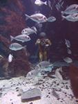 IMG_5929 IMG_5929