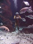 IMG_5930 IMG_5930