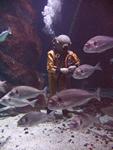 IMG_5931 IMG_5931