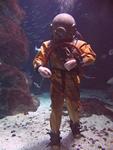 IMG_5933 IMG_5933