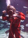 IMG_5978 IMG_5978