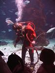 IMG_5980 IMG_5980