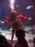 IMG_5981 IMG_5981