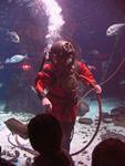 IMG_5982 IMG_5982