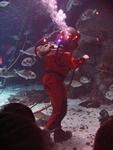 IMG_5983 IMG_5983