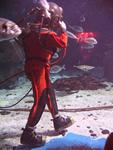 IMG_5994 IMG_5994