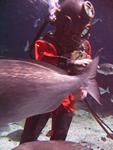 IMG_5996 IMG_5996