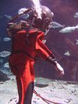 IMG_5997 IMG_5997