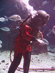 IMG_5998 IMG_5998