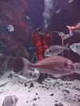 IMG_6000 IMG_6000