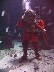 IMG_6040 IMG_6040