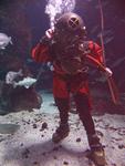 IMG_6041 IMG_6041