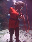 IMG_6042 IMG_6042