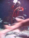 IMG_6057 IMG_6057