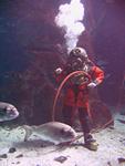 IMG_6058 IMG_6058