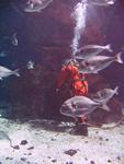 IMG_6059 IMG_6059