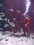 IMG_6061 IMG_6061