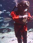 IMG_6104 IMG_6104