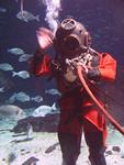 IMG_6107 IMG_6107